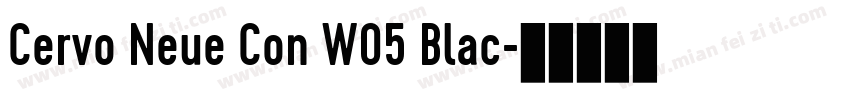 Cervo Neue Con W05 Blac字体转换